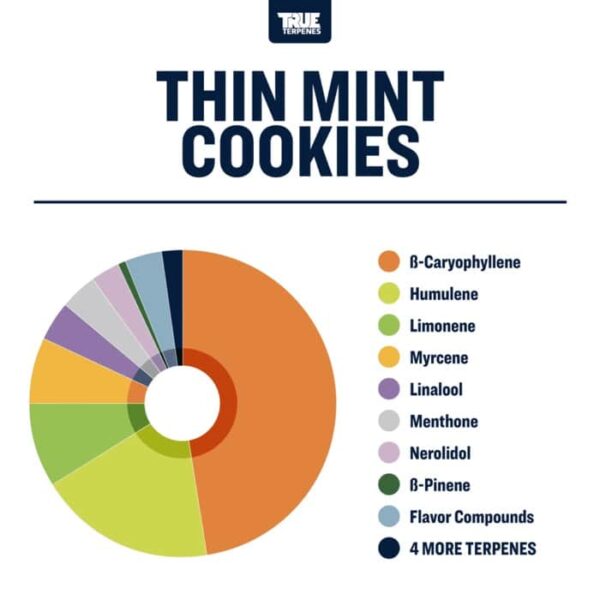 Thin Mint Cookies - Image 2