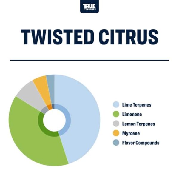 Twisted Citrus - Image 3
